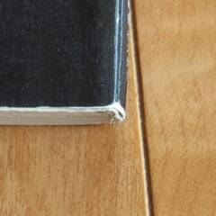 ハンガリーのかわいい刺しゅう　著チャルカの画像