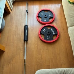 アイロテック　ラバープレート20KG×2枚 穴径29mm レギュラーバーベルシャフト200cm[径28mm] カラー　シャフトパッドの画像