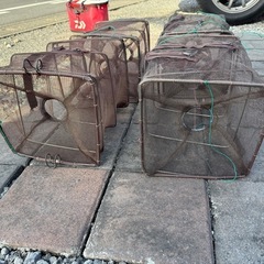 お魚キラー7点セットの画像