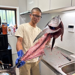 新鮮なマグロ釣ってきます！