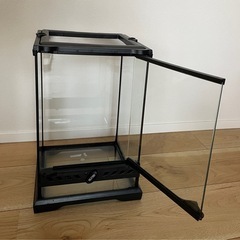 エキゾテラのガラステラリウムの画像