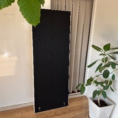 特大ミラー　使用2年の画像