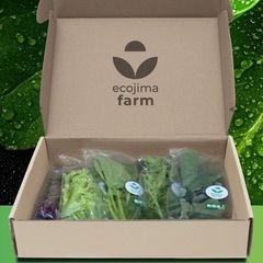 サラダミックスの画像