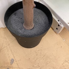 イミテーション　木の画像