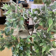 イミテーション　木の画像