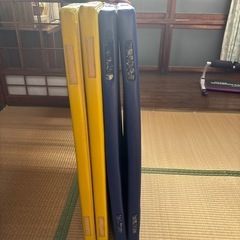 プレイマットの画像