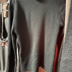 タートルニット   Mの画像