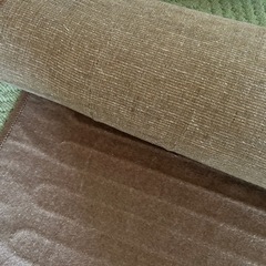 ホットカーペットの画像