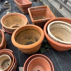 プランター（鉢）　大小さまざま　必要な物のみでOKの画像