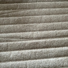 ホットカーペットの画像