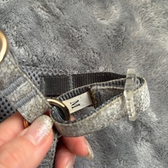 【決まりました】リードハーネスMの画像