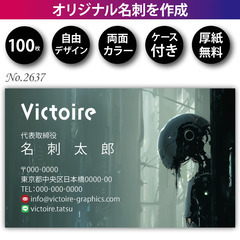 名刺印刷 100枚 両面 フルカラー 紙ケース付 No.2…