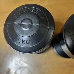 引越しのため処分。5kgダンベル×2の画像