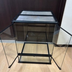 エキゾテラケージの画像