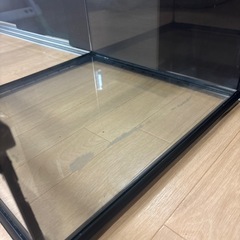 エキゾテラケージの画像