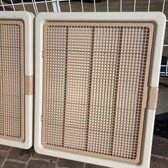 犬 大型犬 トイレ 傷ありの画像