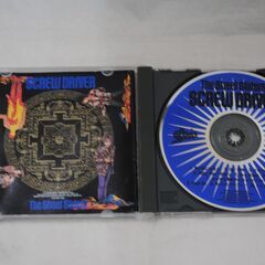 [1806]ザ・ストリートスライダーズ　アルバムCD　2枚セットの画像