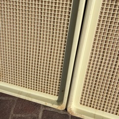 犬 大型犬 トイレ 傷ありの画像