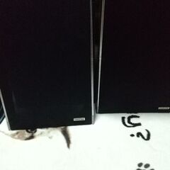 スピーカー  DIATONE   2000円12月迄の画像