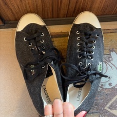 ラコステ　スニーカー　　の画像