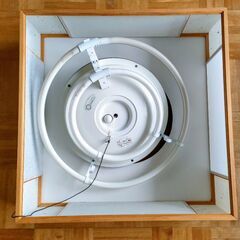 電気傘&電球💡　　Hana🌸の画像