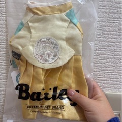 服(チマチョゴリ)の画像