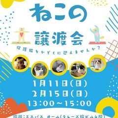 むさしの地域猫の会譲渡会