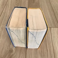 ミニ辞書2冊セットの画像
