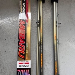 格安釣具‼️ロッドケース、ロッド3本、リールのセット‼️の画像