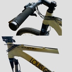 Louis Garneau Bartroマウンテンバイクの画像