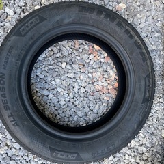 ミネルヴァオールシーズンタイヤの画像