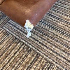 クイーンベット  ベットフレーム マットレスの画像