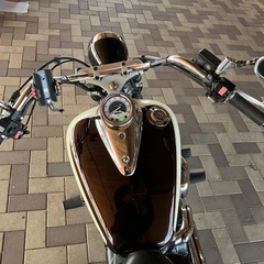 YAMAHA ドラッグスター250 VG05J ブラウン/ホワイト 低走行車　フロントタイヤ新品　ブレーキパッド新品　油脂類交換済み　動画ありの画像