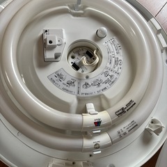 シーリングライト の画像