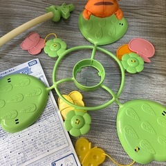 プーメリーの画像