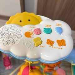 プーメリーの画像