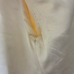 年末年始のイベントにフワフワボレロ2️⃣
の画像