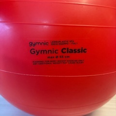 バランスボールの画像