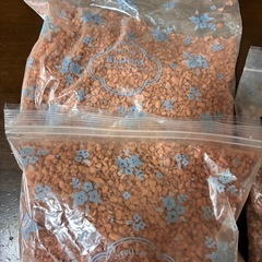 観葉植物　水耕栽培　ハイドロボール　ハイドロカルチャー　ゼオライトの画像