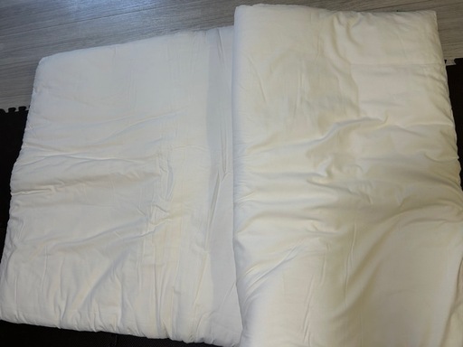 寝具4点セット＋UV除菌ライト(おまけ）