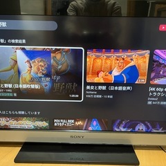 SONY  BRAVIA   KDL-32EX300 firestick付属の画像