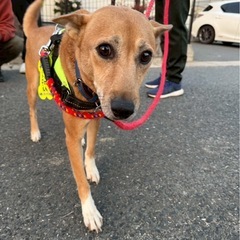 甘えん坊なクリちゃん❤️