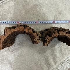 爬虫類などのレイアウト用品　コルクシェルター、コルク板をセットでの画像