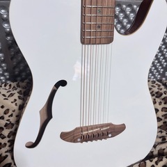 シェクター　エレアコの画像