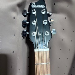 シェクター　エレアコの画像