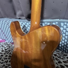 シェクター　エレアコの画像