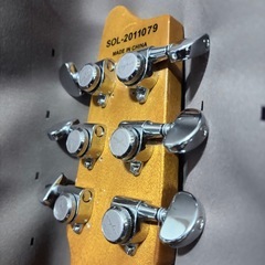 シェクター　エレアコの画像