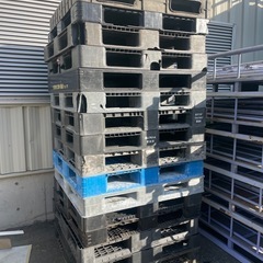 無料‼️プラスチック製パレット差し上げますの画像
