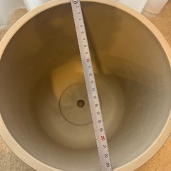 大きな鉢の画像
