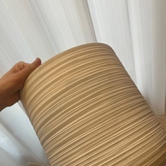 大きな鉢の画像